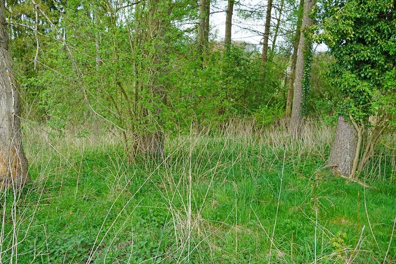 Hier beginnt die Wildnis