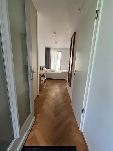 TOPLAGE Innenstadt - Exklusives 1 Zimmer Apartement möbliert mit Einbauküche – Flur