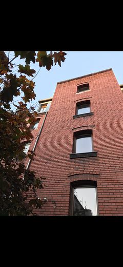 Light-filled old building apartment (5 rooms) by the city park - 4 spacious bedrooms and separate living room – Ansicht Fassade Hinterhof