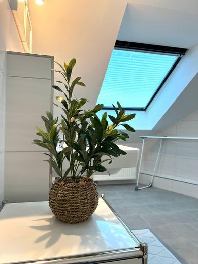 Disponible a partir de octubre de 2026: hermoso y luminoso apartamento de 2,5 habitaciones – Bad mit Wäschespinne