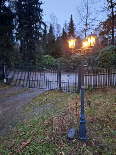 Einfahrt mit elektrischem Tor