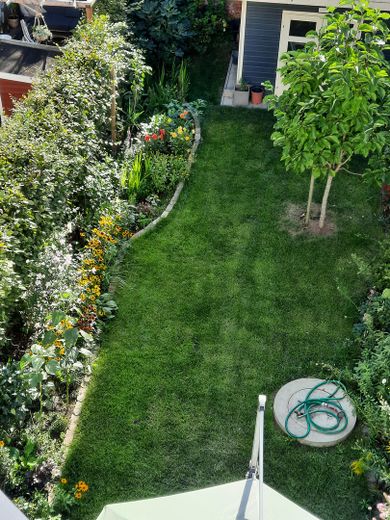 Modernes, familienfreundliches Stadthaus in Altlindenau inkl. Tiefgarage - von privat – Blick in den Garten