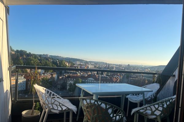 Einzigartige Wohnung mit Weitblick im Lehenviertel