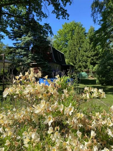 6-Zi. Neubau-EFH mit Terrasse, 2 Bädern, Nebengelass, Kamin und tollem Garten in Bestlage! – IMG_2659