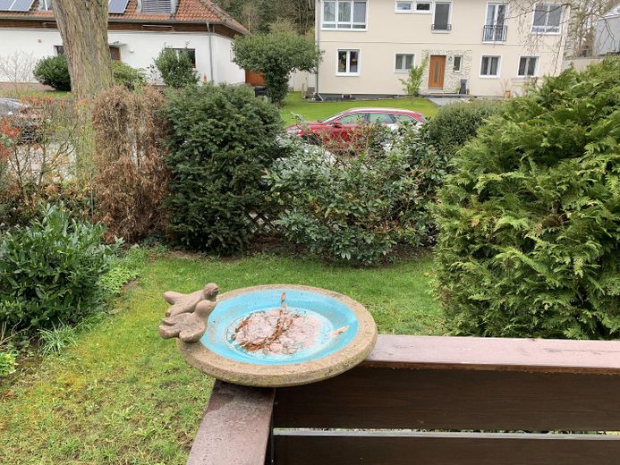 Gartenimpressionen 2