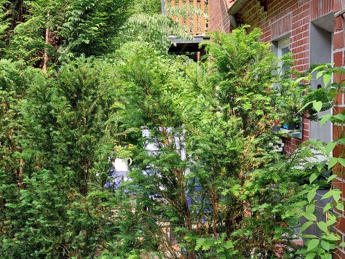Anlieger Terrassenwohnung  Schneverdingen OT. – Foto 14