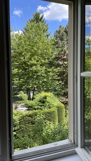 Blick zum Garten