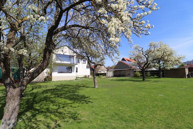 Großes EFH mit PV-Anlage, Kamin, Keller, Garagen und herrlichem Garten ! – Garten