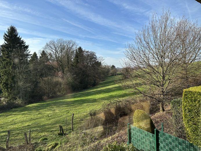 Blick aus dem Wohnzimmer