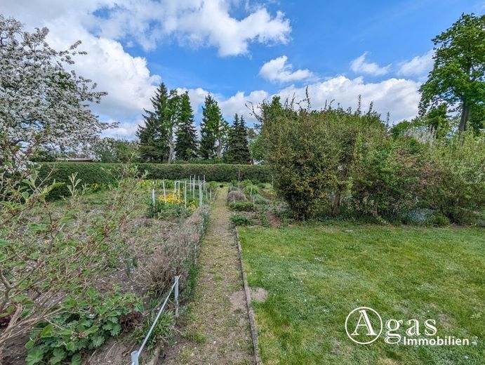 Großes Gartengrundstück mit Laube am Ortsrand von Zehdenick (Eigentum - keine Pacht, kein Verein) – Garten
