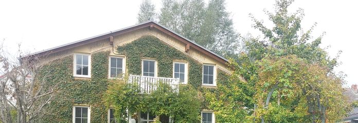 Casa unifamiliare (zero costi energetici!) con geotermia, fotovoltaico, accumulatore, senza agenzia immobiliare (adatta a più generazioni) – Ostansicht