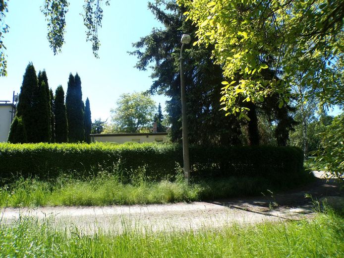 Natur. Ruhe. Bungalow auf Eckgrundstück mit unverbaubarem Ausblick – provisionsfrei! – 17_von_hinten_Eckgrundstück