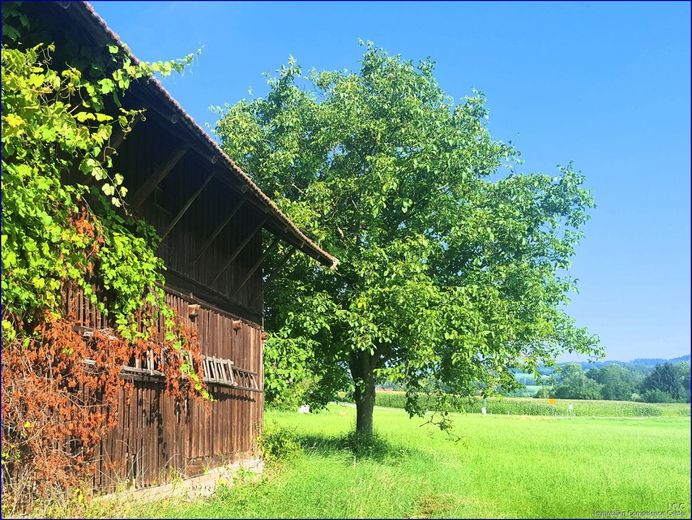 ***   FESTPREIS: 250.000,- EUR   ***
Liebhaber-Sacherl in Alleinlage - ca. 6.500 m² Grund 
am Mühl-/ Prienbach - südlich von Stubenberg – Die natürliche Seitenansicht von der Scheune