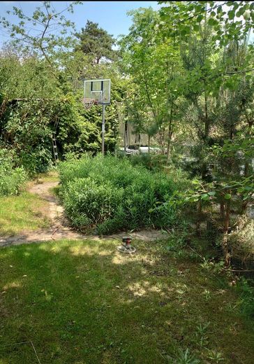 der hintere Garten