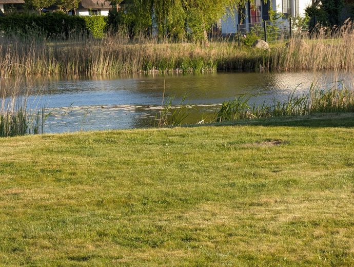Entspannung pur