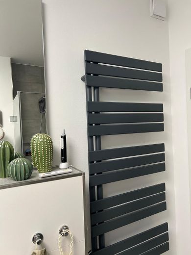 Exklusive 2,5 Zimmer Wohnung mit Aufzug, Niedrigenergiehaus mit PV Mieterstrom – Handtuchheizkörper