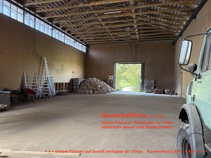 Halle als Lager, Produktionsfläche oder Einbau Padel Court – Foto 1