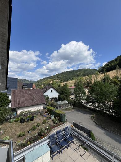 2-Zimmer Wohnung mit Balkon in Wolfach-Kirnbach ab sofort zu vermieten – Ausblick vom Balkon