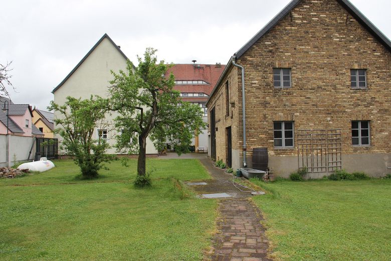 Sicht aus dem Garten