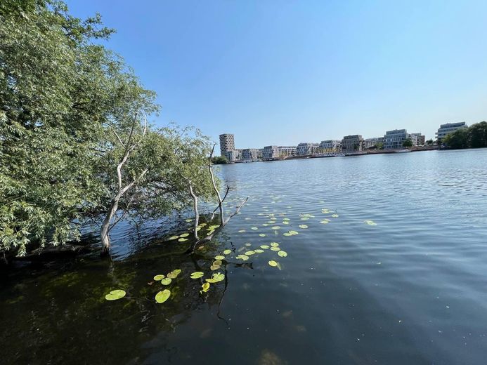 Möblierte Eigentumswohnung in Spandau – provisionsfrei vom Eigentümer (derzeit leerstehend) – Foto 15
