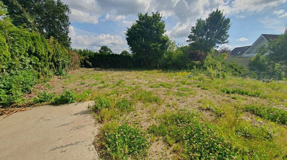 Eingewachsenes Grundstück