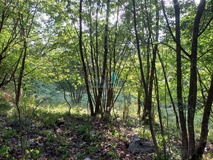 Grundstück Jurdani, Matulji, 2.662m2 – Foto 1