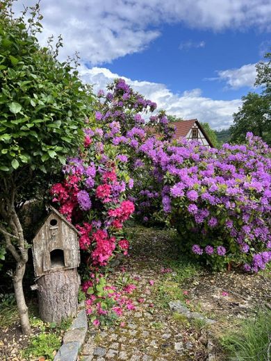 Garten im Mai