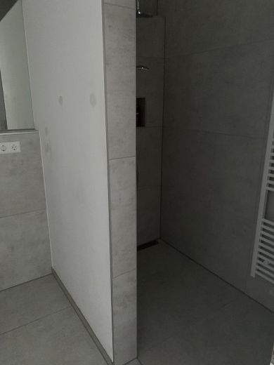 Dusche und Handtuchheizkörper