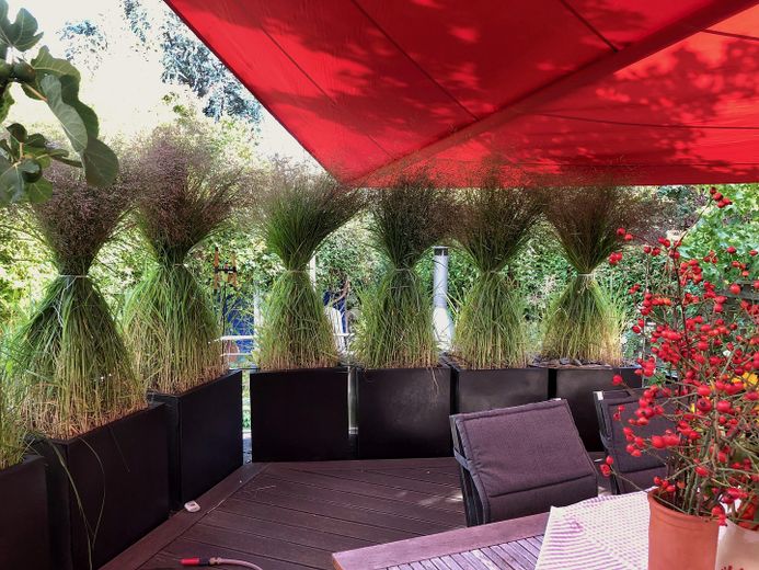 Sonniges Reihenendhaus mit Atelier - ruhige, familienfreundliche Lage, Garten & Blick über Skyline – Südterrasse