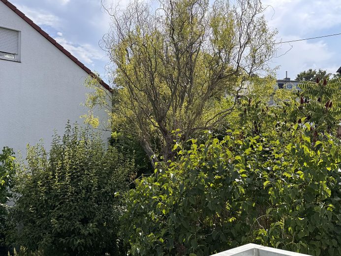 شقة ساحرة من 3 غرف: أول سكن بعد تجديد أنيق – Ausblick v. Balkon