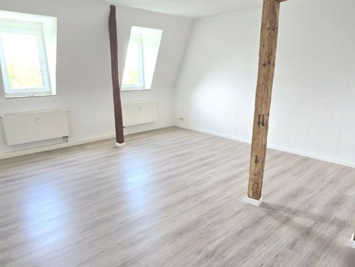 !! Begehrte neu hergerichtete 1,2 + weite 2,5-Zi.-Wohnung in zentraler Lage von Döbeln !! – Foto 1