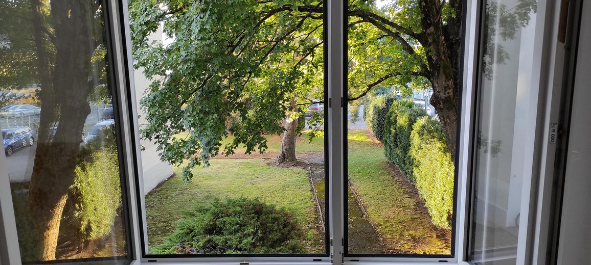 Küche - Blick in den Garten