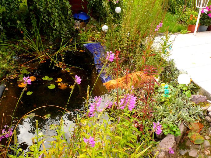 Idilliaca casa unifamiliare in stile bungalow con romantico giardino di rose – Foto 12