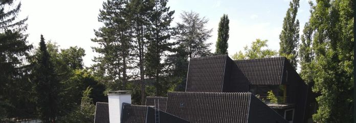 Ansicht Rückseite