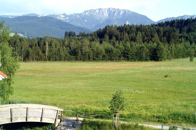 Naturschutzgebiet am Bach