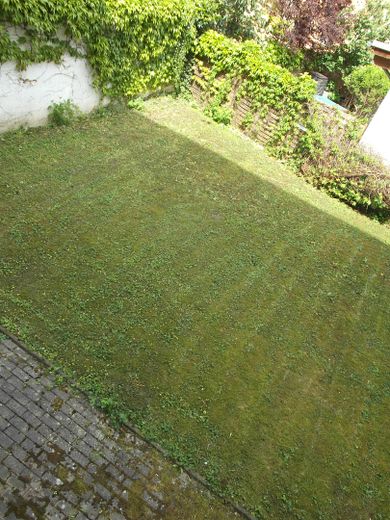 Garten Rückseite 