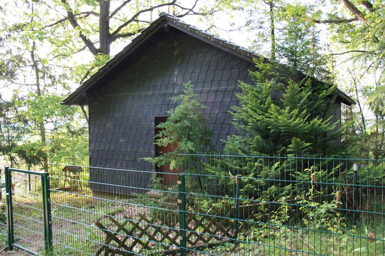 Waldhaus in Alleinlage – Frontansicht