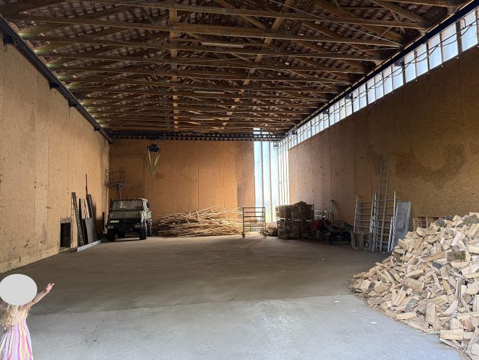 Halle als Lager, Produktionsfläche oder Einbau Padel Court – Foto 3