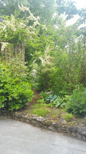 Terrassenbepflanzung