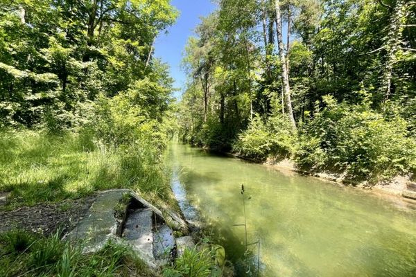 Terreno da sogno in posizione urbana presso il Siebentischwald