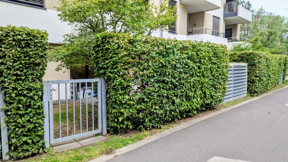 Moderne 2-Zimmer-Gartenwohnung in Rheinnähe – Barrierefreies Wohnen in Köln-Bayenthal – Garten von Aussen 