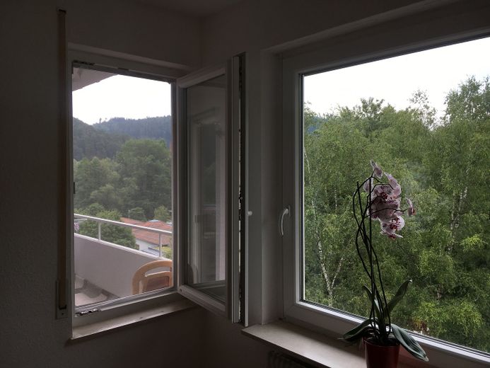 Blick aus Kinderzimmerfenstern