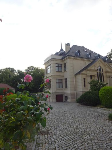 Exclusiv und stilvoll wohnen in Stadtvilla / hochwertige 4 - 5 Raum Terrassenwohnung – Blick auf Gartenseite