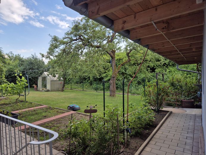 von der Kellertreppe im Garten