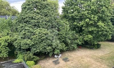 BLICK INS GRÜNE, 2 BALKONE  &  VIEL POTENZIAL – 1790057047_07bcb7.jpg