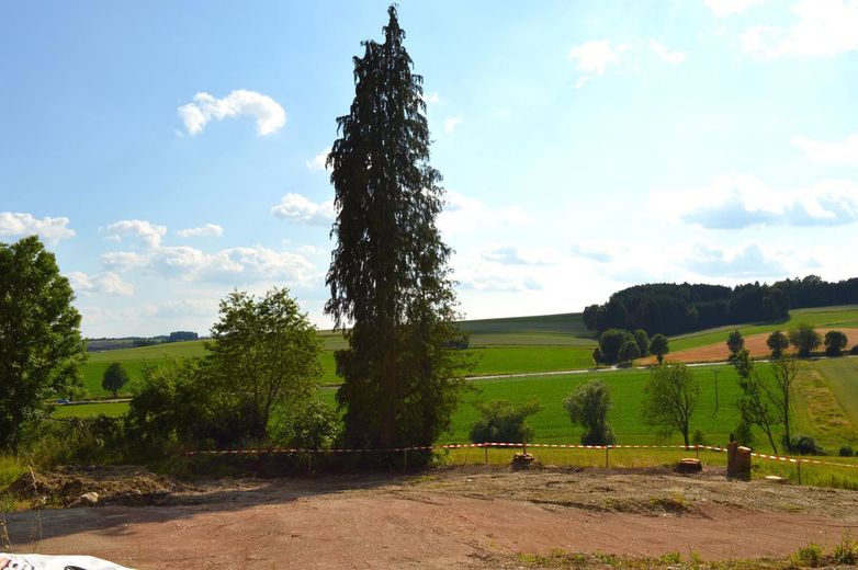 Eigenes Haus mit Garten zum Preis einer Eigentumswohnung im Rottal - provisionsfrei von PRIVAT – Foto 6