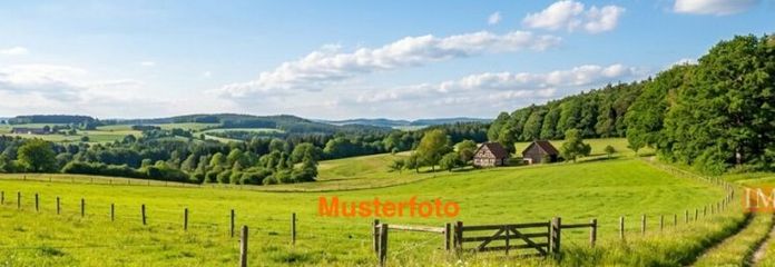 IMMORath.de - Weitläufige Wiesenfläche mit ca. 1 ha