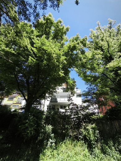 Appartamento per famiglie di rara bellezza – balcone esposto a sud-ovest, 2 bagni e posizione tranquilla di prim’ordine a Freiburg-Vauban – Süd-West Ansicht 