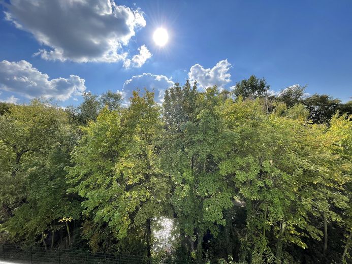 Blick auf den Schwarzbach