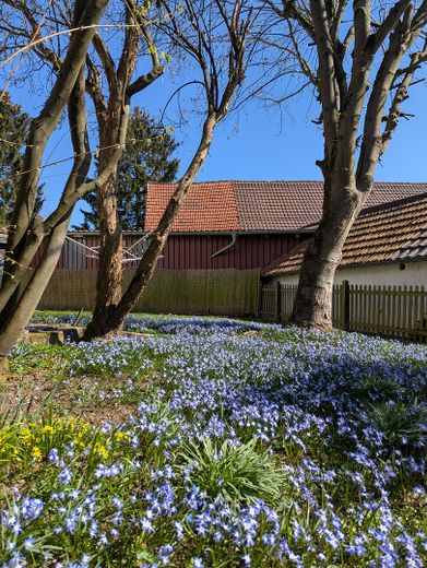 Garten im Frühjahr